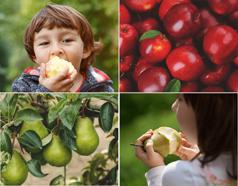 Productos VPC Productos VPC